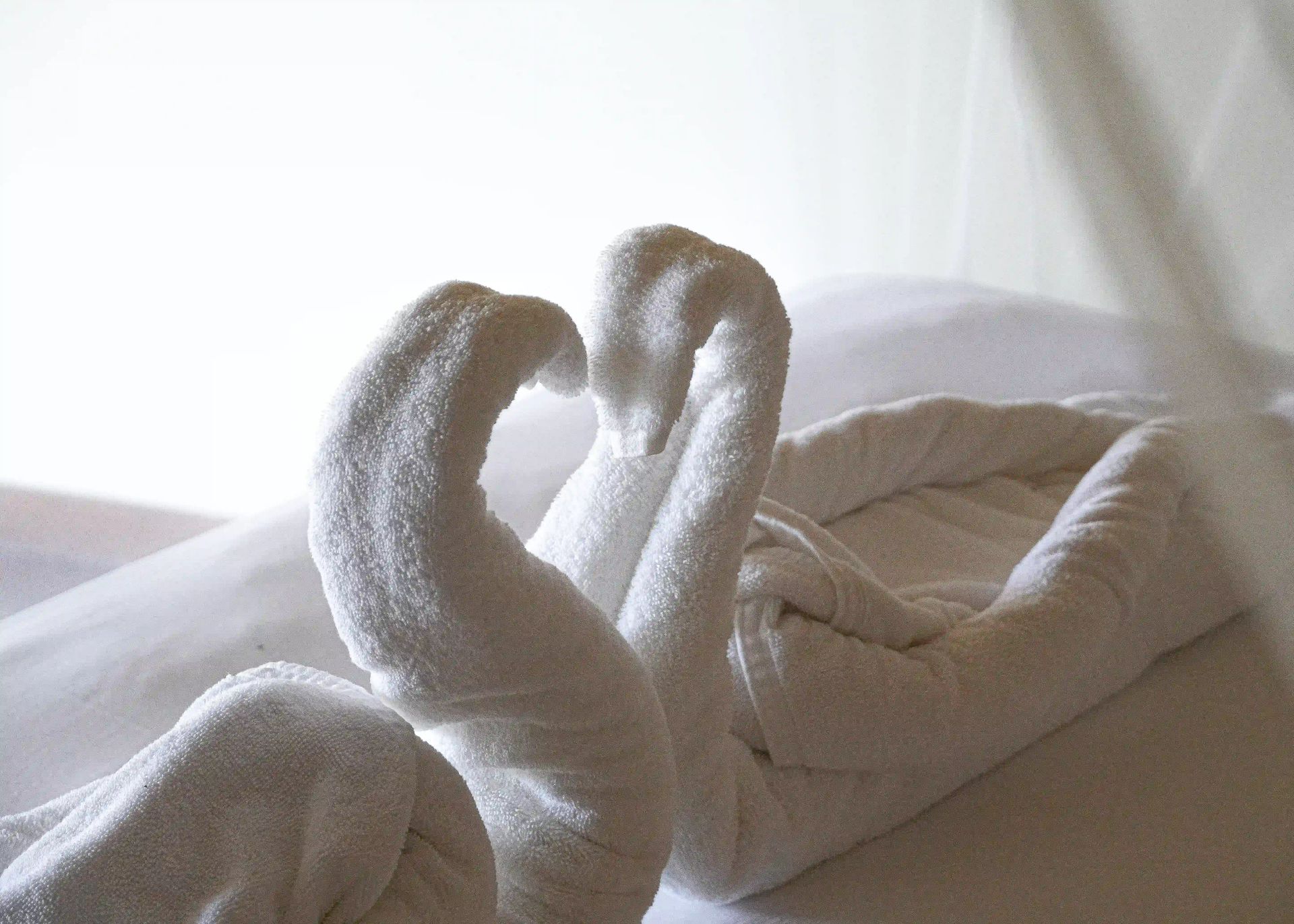 Bedding with a neatly folded towel.